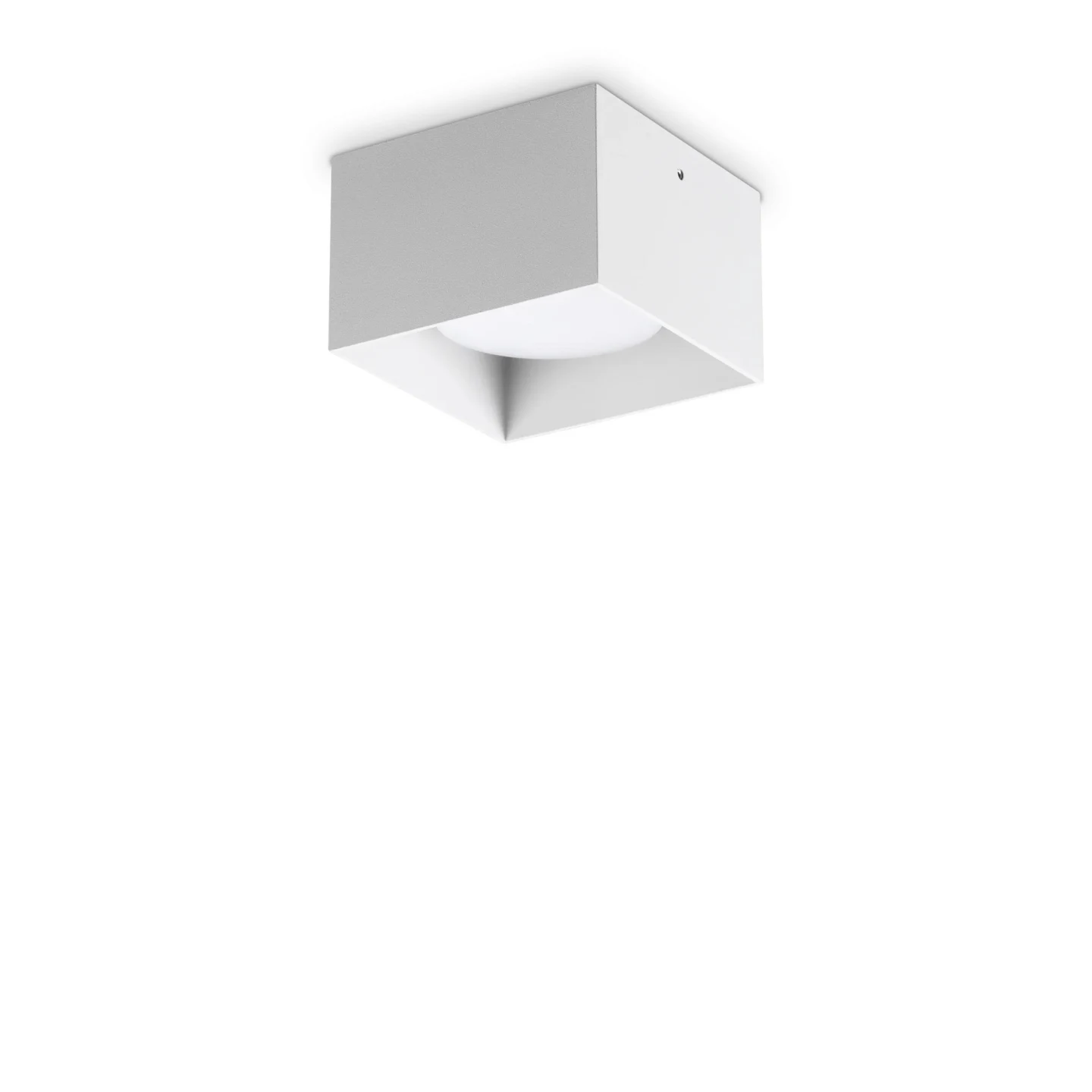Spike PL1 Square - Ideal Lux - plafon – kolor Biały (nr kat. 317489)