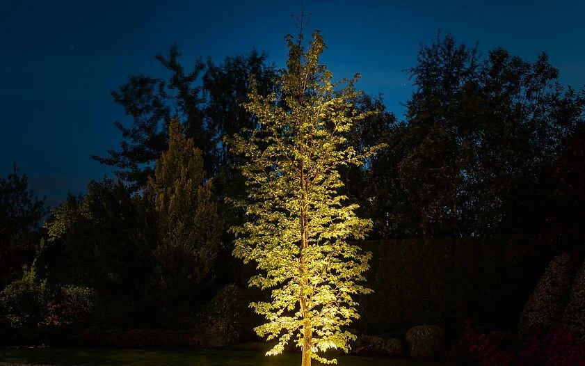 Lampa najazdowa PICCO LED L - Nowodvorski – zdjęcie 2