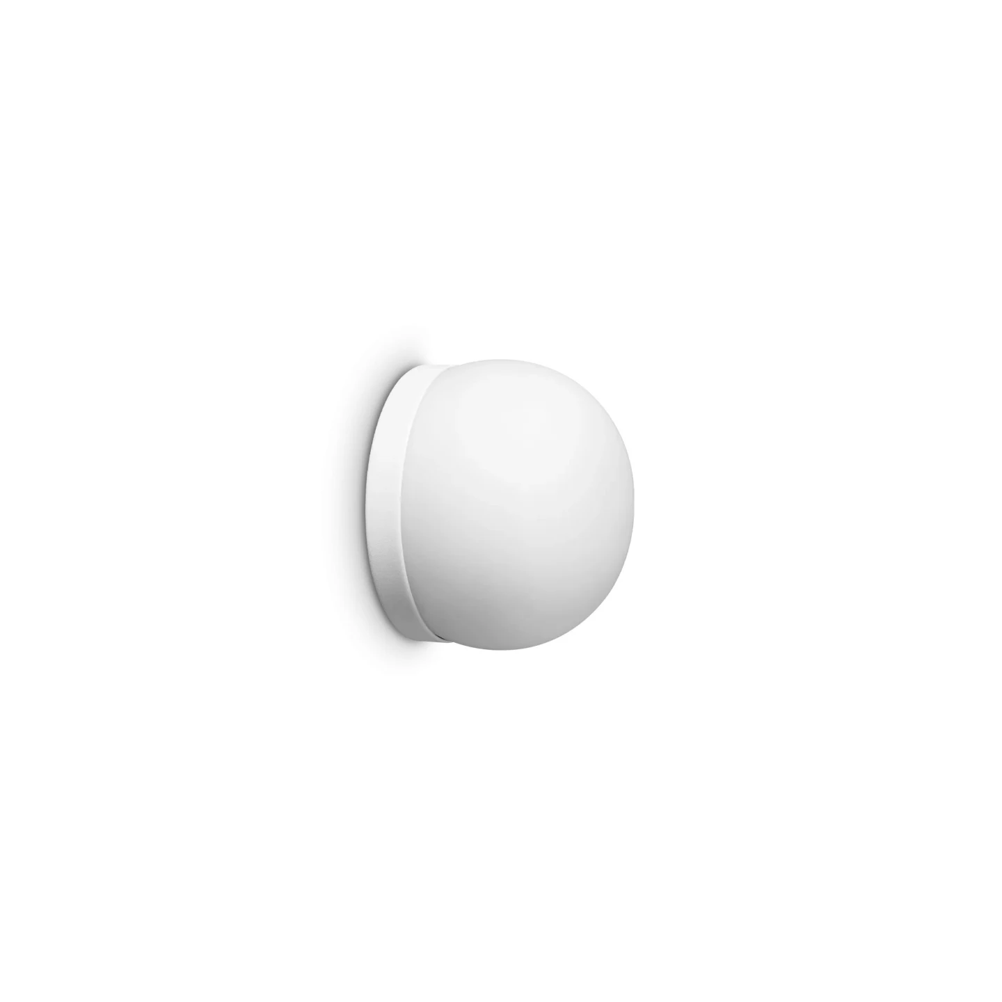 Cotton AP1 D10 - Ideal Lux - kinkiet