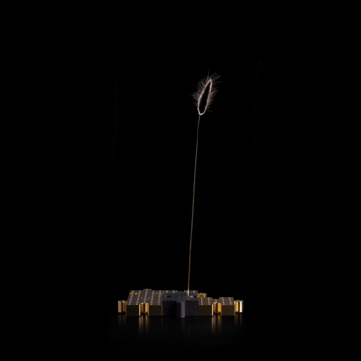 Anagramma 20 - Davide Groppi - lampa dekoracyjna LED – zdjęcie 2