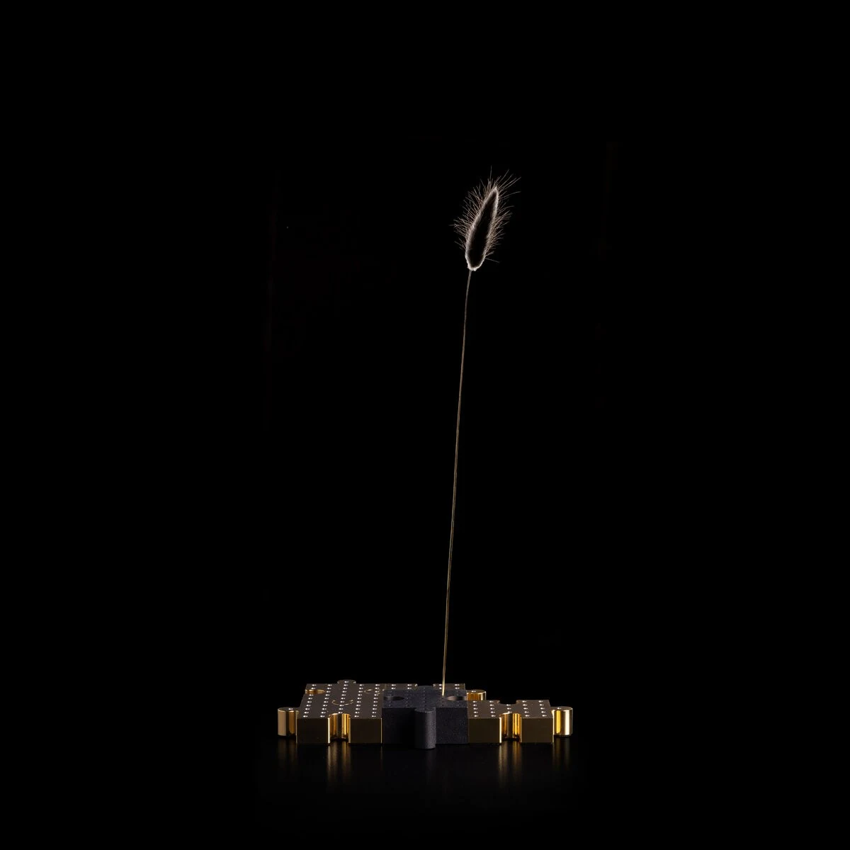 Anagramma 20 - Davide Groppi - lampa dekoracyjna LED – zdjęcie 4