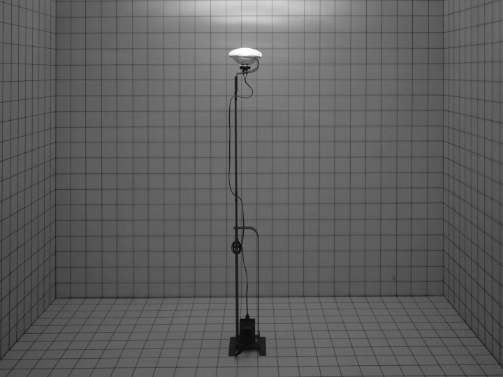 Toio Led - Flos - lampa podłogowa – zdjęcie 9