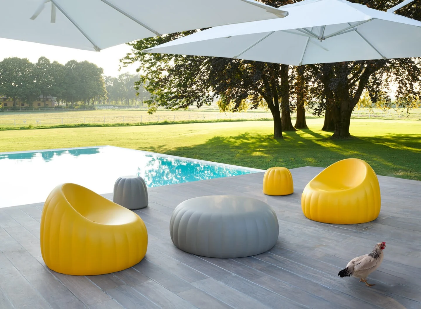Gelée Lounge - Slide - fotel – zdjęcie 5