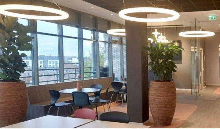 Giotto Chandelier - Slide - lampa wisząca – zdjęcie 5