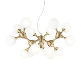 Nodi SP15 - Ideal Lux - lampa wisząca – kolor Mosiądz (nr kat. 241012)